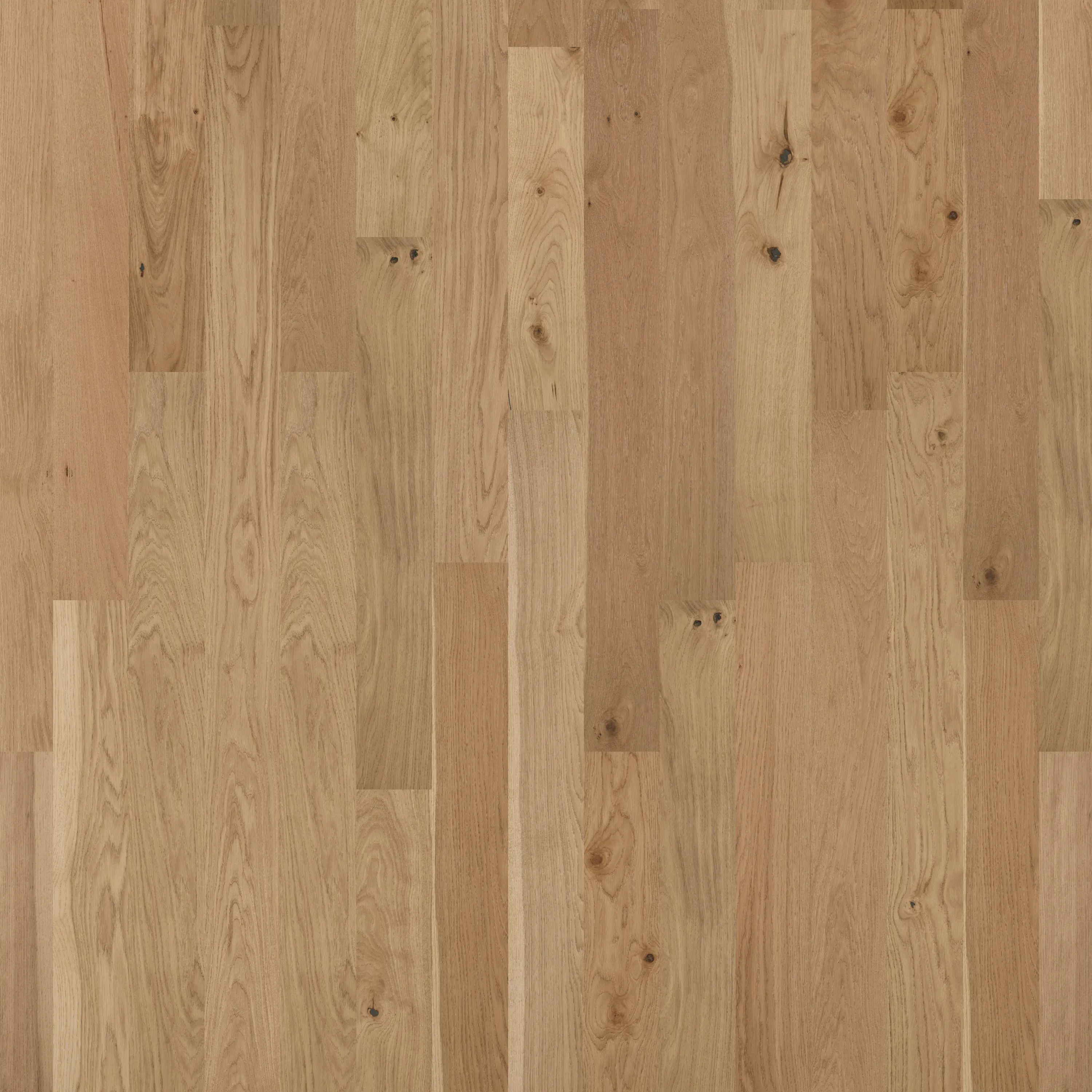 Sophisticated Oak Engineered Hardwood